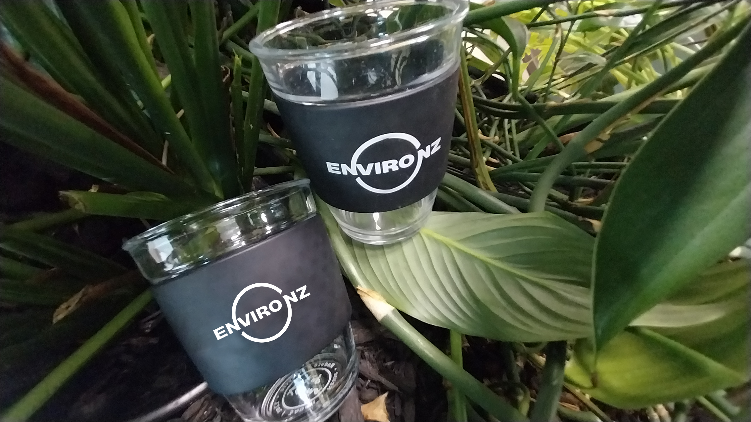 Raise a keep cup to Tauranga! | Enviro NZ Branch Spotlight